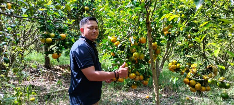 Pengunjung yang datang dari luar Kerinci