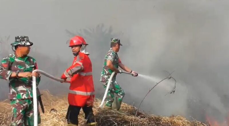 Kebakaran Hutan dan Lahan