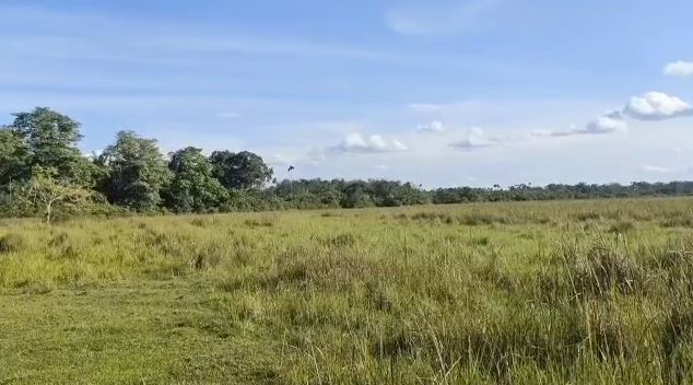 Puluhan Hektar Sawah Menjadi Lahan Tidur Selama Belasan Tahun