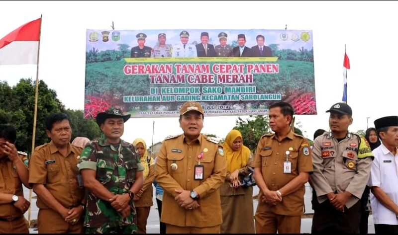 PJ Bupati Bachril Bakri Lakukan Gerakan Tanam Cabe Merah Bersama Poktan Sako Mandiri