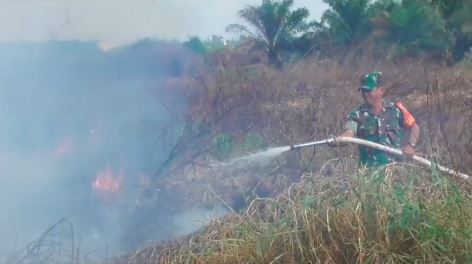 Kebakaran Hutan dan Lahan.