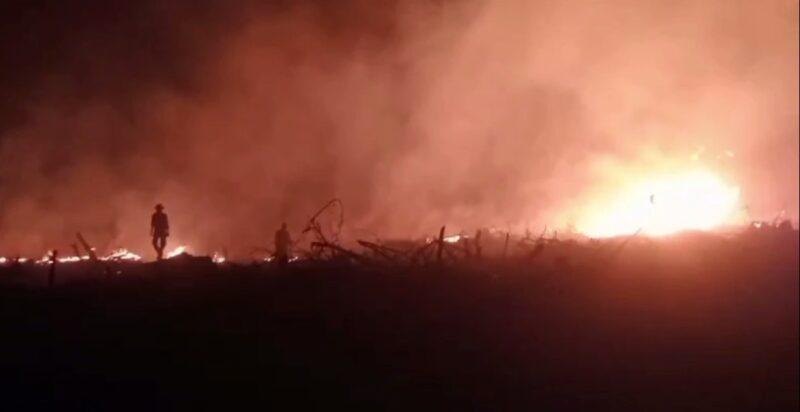 Kebakaran Lahan di Desa Betung.