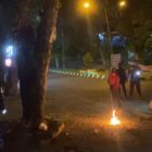 Damkar Merangin Musnahkan Sarang Tawon Vespa Raksasa Seberat Lebih dari 10 Kilogram