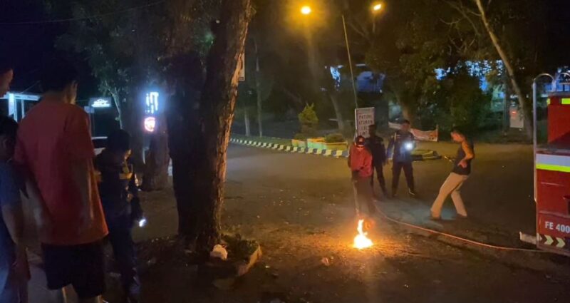 Damkar Merangin Musnahkan Sarang Tawon Vespa Raksasa Seberat Lebih dari 10 Kilogram