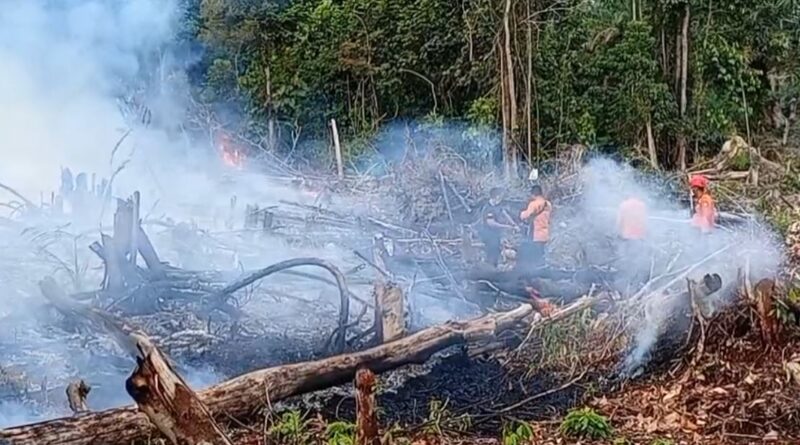 Karhutla Tebo Meningkat, 12 Hektare Lahan Terbakar Selama Agustus